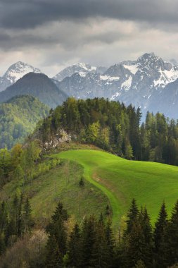 Logarska Dolina (Logar Valley), Slovenya, Avrupa 'nın muhteşem manzarası