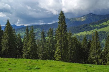 Romanya ve Avrupa 'da Prislop Geçidi manzarası