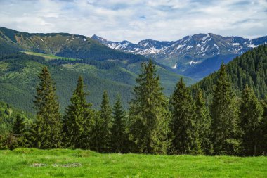Rodnei Dağları Ulusal Parkı, Romanya, Romanya Karpatlar, Avrupa.