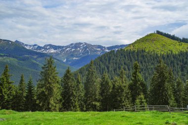 Rodnei Dağları Ulusal Parkı, Romanya, Romanya Karpatlar, Avrupa.