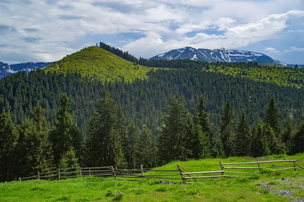 stock image Rodnei Mountains National Park, Romania, Romanian Carpathian Mountains, Europe.