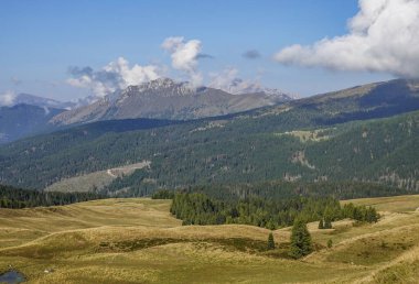 Summer view of the famous Pale di San Martino landscape, near San Martino di Castrozza, Italian Dolomites, Europe clipart