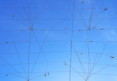 Açık mavi bulutsuz gökyüzüne açık hava tatili ya da park manzarası stresi azaltma konsepti olarak doğal aydınlatma için ampuller asmak. Elektrik ampulleri dizisi Kablolarda asılı Güzel Mavi Gökyüzü Againt.