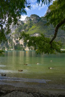 Garda Gölü 'nde yaz manzarası, İtalya' da Riva del Garda tatil beldesi, Avrupa