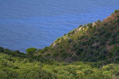 Elba Adası, Toskana, İtalya ve Avrupa 'nın güzel yaz manzarası