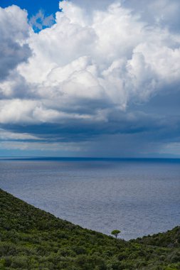 Elba Adası, Toskana, İtalya ve Avrupa 'nın güzel yaz manzarası