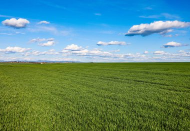 beyaz güzel bulutlar ve yeşil alan