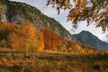 Mehedinti Dağları, Karpatlar, Romanya ve Avrupa 'da sonbahar manzarası. Dağlarda sonbahar manzarası