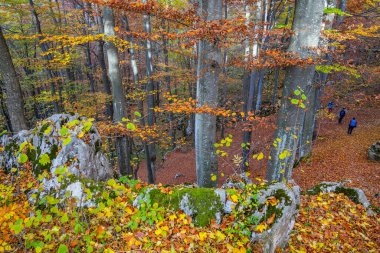 Scenic autumn landscape in Mehedinti Mountains, Carpathians, Romania, Europe. Fall alpine landscape in the mountains clipart