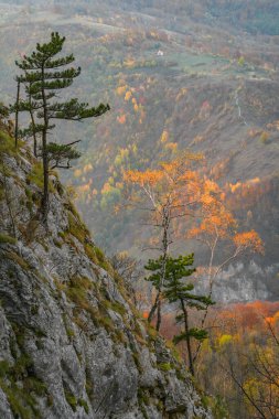 Mehedinti Dağları, Karpatlar, Romanya ve Avrupa 'da sonbahar manzarası. Dağlarda sonbahar manzarası