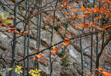 cenic autumn landscape in Mehedinti Mountains, Carpathians, Romania, Europe. Fall alpine landscape in the mountains clipart