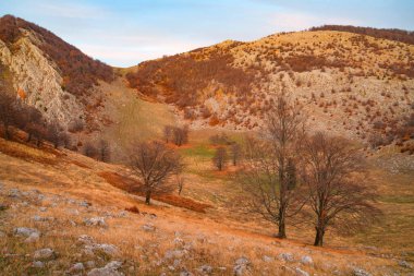 Mehedinti Dağları, Karpatlar, Romanya ve Avrupa 'da sonbahar manzarası. Dağlarda sonbahar manzarası
