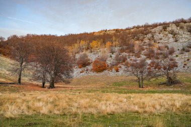 Mehedinti Dağları, Karpatlar, Romanya ve Avrupa 'daki cenic sonbahar manzarası. Dağlarda sonbahar manzarası