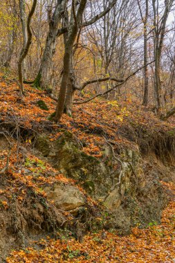 Yol çökmüş durumda. Su erozyonuna giden yolun durumu