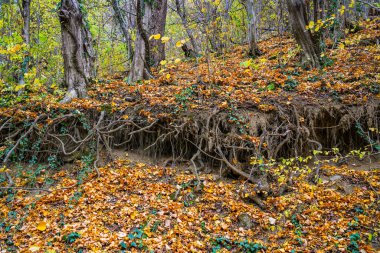 Yol çökmüş durumda. Su erozyonuna giden yolun durumu