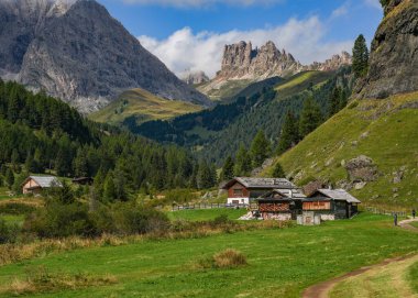 Val Duron 'un Dolomitlerdeki güneşli yaz manzarası Campitello di Fassa, İtalya, Avrupa