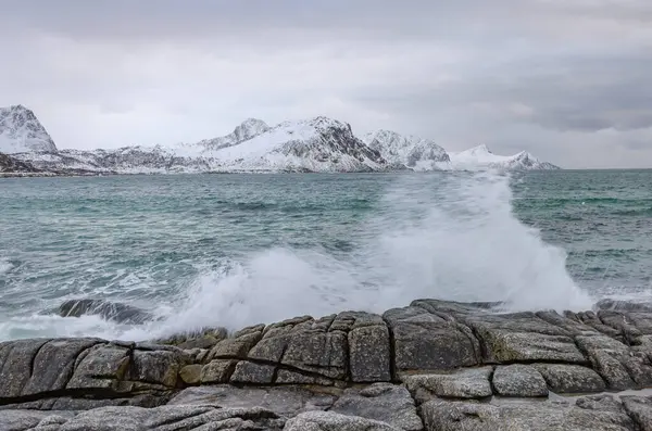 Lofoten Takımadaları 'nda haukland Plajı, Norveç, Avrupa