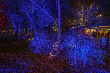  Viyana, Avusturya ve Avrupa 'da geleneksel Noel süsleri