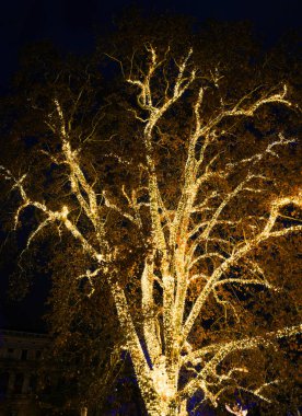  Viyana, Avusturya ve Avrupa 'da geleneksel Noel süsleri