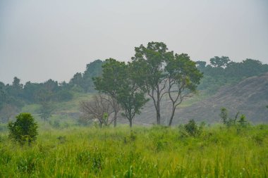 Havarana, Sri Lanka, Asya 'daki Hurulu Eco Park manzarası