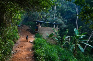 Sigirya, Sri Lanka, Asya 'daki ev