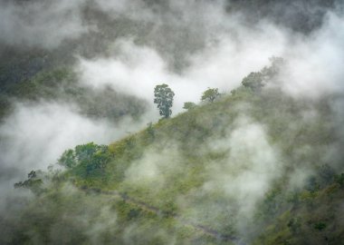 Ella Resort, Sri Lanka, Asya 'daki yeşil vadide sisli yağmur bulutları