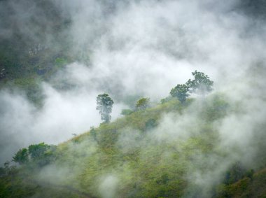 Ella Resort, Sri Lanka, Asya 'daki yeşil vadide sisli yağmur bulutları