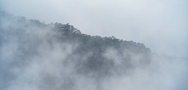 Ella Resort, Sri Lanka, Asya 'daki yeşil vadide sisli yağmur bulutları