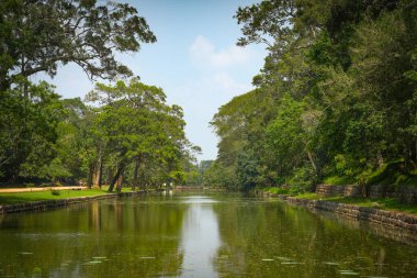 Sigirya Kalesi Kayası, Sri Lanka 'nın başkenti Dambulla yakınlarındaki kuzey Matale Bölgesi' nde bulunan antik bir kaya kalesidir.
