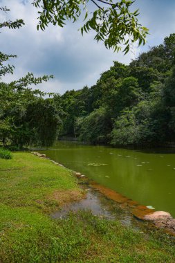 Sigirya Kalesi Kayası, Sri Lanka 'nın başkenti Dambulla yakınlarındaki kuzey Matale Bölgesi' nde bulunan antik bir kaya kalesidir.
