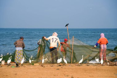 Sabahın erken saatlerinden itibaren Negombo sahilinde, Sri Lanka, Asya 'da balıkçılar iş başında.