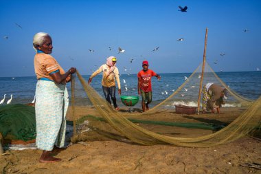 Sabahın erken saatlerinden itibaren Negombo sahilinde, Sri Lanka, Asya 'da balıkçılar iş başında.