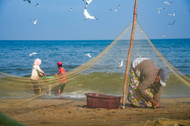 Sabahın erken saatlerinden itibaren Negombo sahilinde, Sri Lanka, Asya 'da balıkçılar iş başında.