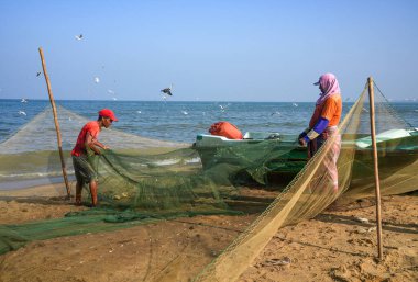 Sabahın erken saatlerinden itibaren Negombo sahilinde, Sri Lanka, Asya 'da balıkçılar iş başında.