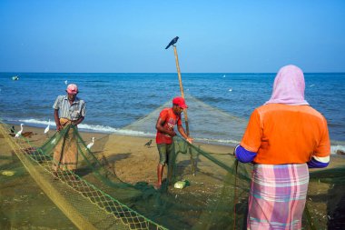 Sabahın erken saatlerinden itibaren Negombo sahilinde, Sri Lanka, Asya 'da balıkçılar iş başında.