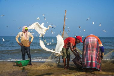 Negombo sahilinde balıkçı tekneleri ve balıkçılar. Negombo, Sri Lanka 'nın batı kıyısında büyük bir şehirdir..