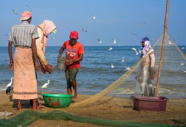 Negombo sahilinde balıkçı tekneleri ve balıkçılar. Negombo, Sri Lanka 'nın batı kıyısında büyük bir şehirdir..