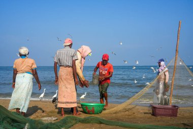 Negombo sahilinde balıkçı tekneleri ve balıkçılar. Negombo, Sri Lanka 'nın batı kıyısında büyük bir şehirdir..