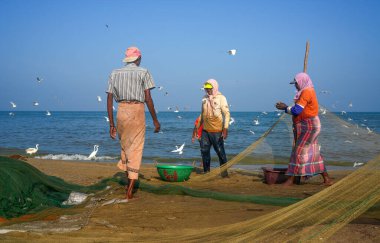 Negombo sahilinde balıkçı tekneleri ve balıkçılar. Negombo, Sri Lanka 'nın batı kıyısında büyük bir şehirdir..