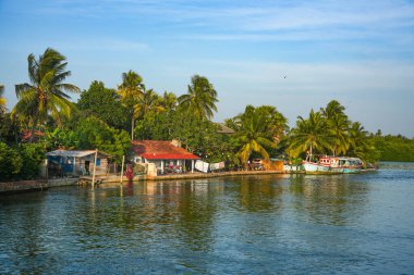 Negombo Gölünde renkli balıkçı tekneleri, Colombo, Sri Lanka, Asya