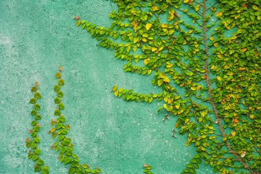 Klasik beton duvar arkaplanının soyut görüntüsü