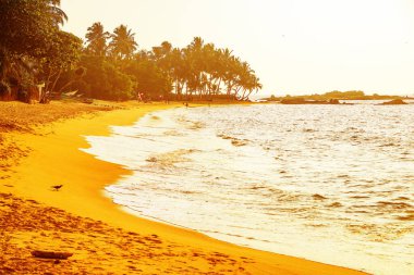 Beruwala kıyı şeridinin gün batımı manzarası, Sri Lanka, Asya