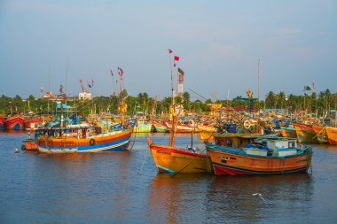 Beruwala limanında gün batımında balıkçı gemileri, Sri Lanka, Asya