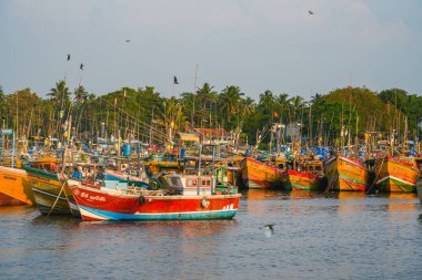 Beruwala limanında gün batımında balıkçı gemileri, Sri Lanka, Asya