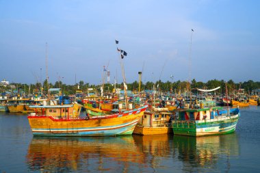 Beruwala limanında gün batımında balıkçı gemileri, Sri Lanka, Asya