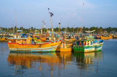 Beruwala limanında gün batımında balıkçı gemileri, Sri Lanka, Asya
