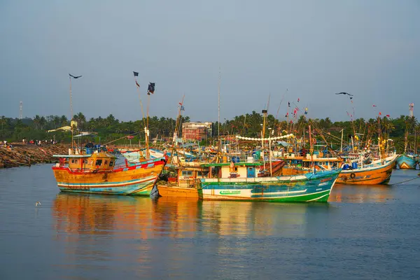 Beruwala limanında gün batımında balıkçı gemileri, Sri Lanka, Asya