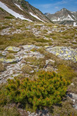 Retezat Dağları'nda bahar manzarası, Romanya, Avrupa