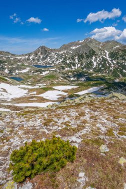 Retezat Dağları'nda bahar manzarası, Romanya, Avrupa