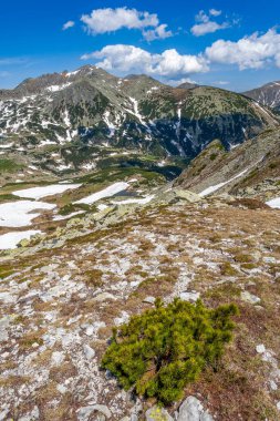 Retezat Dağları'nda bahar manzarası, Romanya, Avrupa